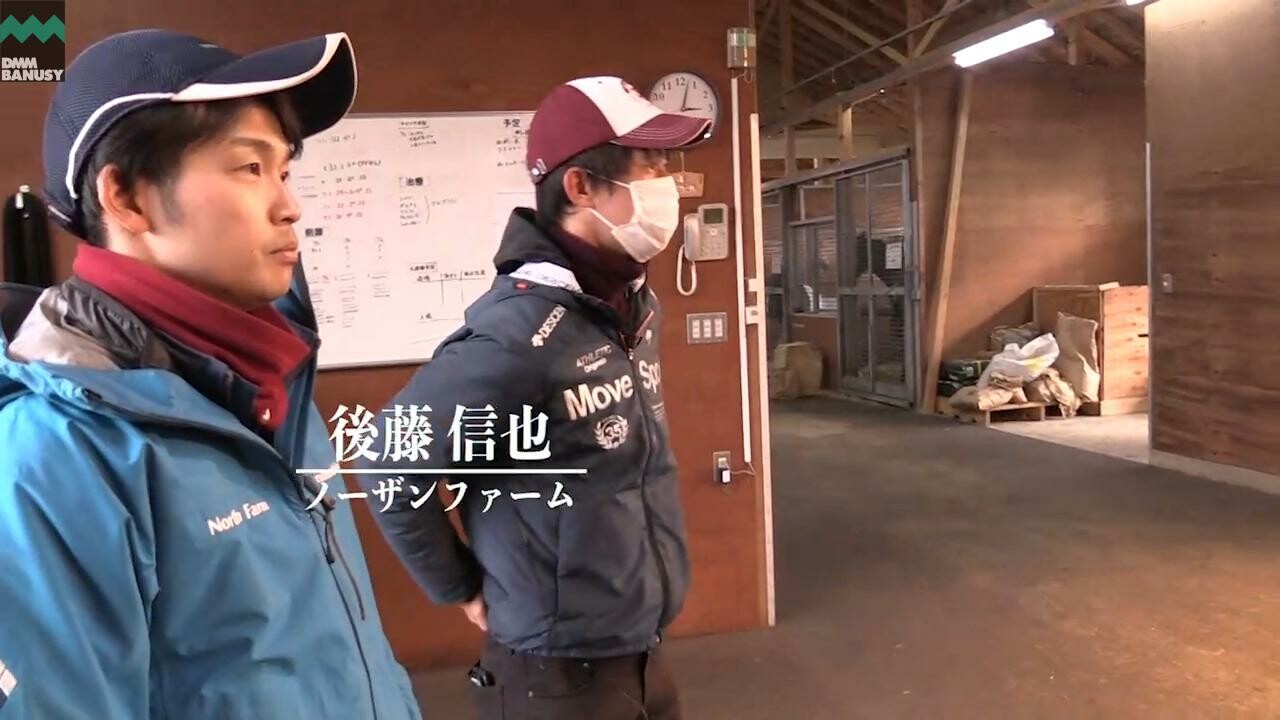 レプリューム 2020/11/4撮影：ノーザンファーム現地視察