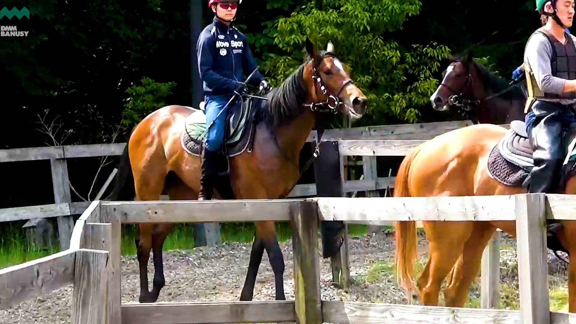 レプリューム デビューまでの道のり