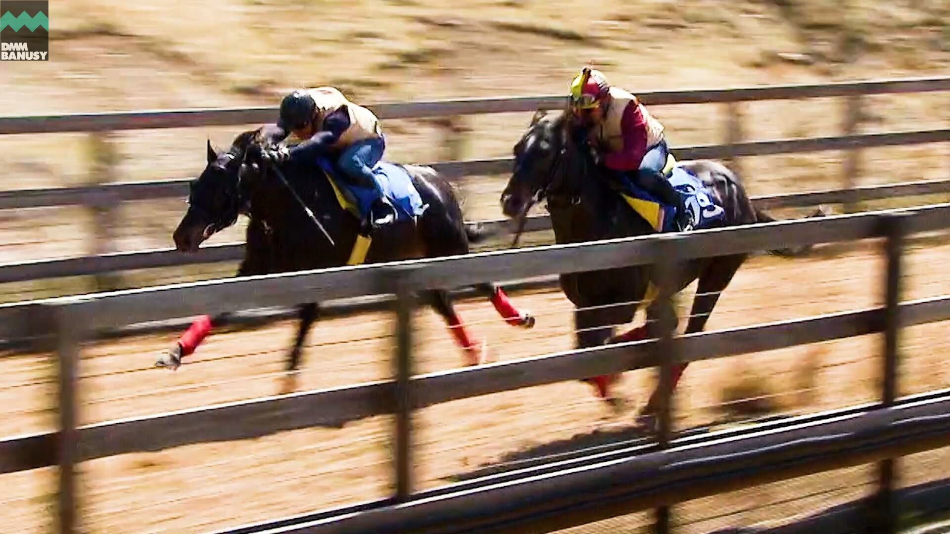 サイレントブラック PV2021