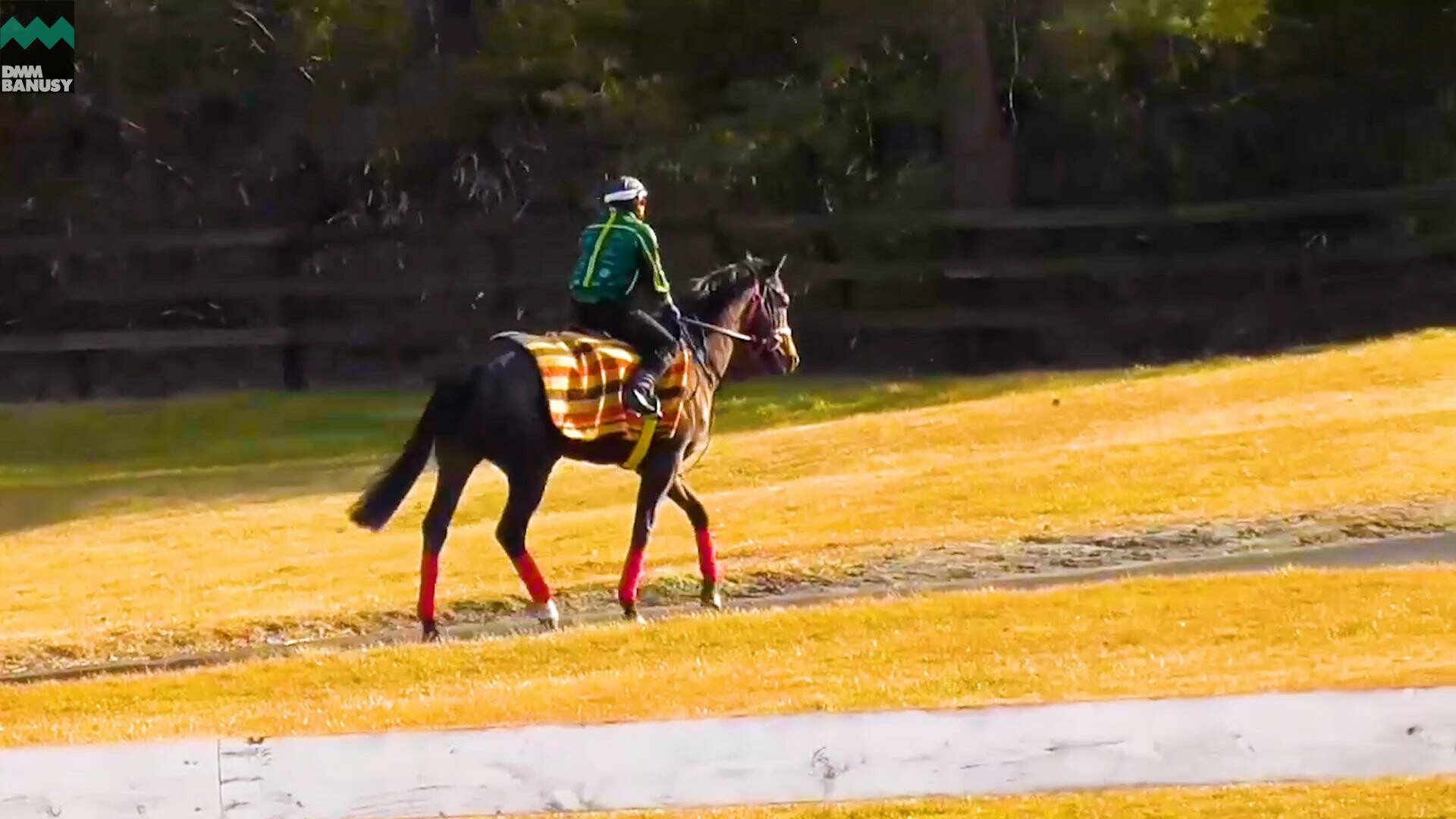 サイレントブラック デビューまでの道のり
