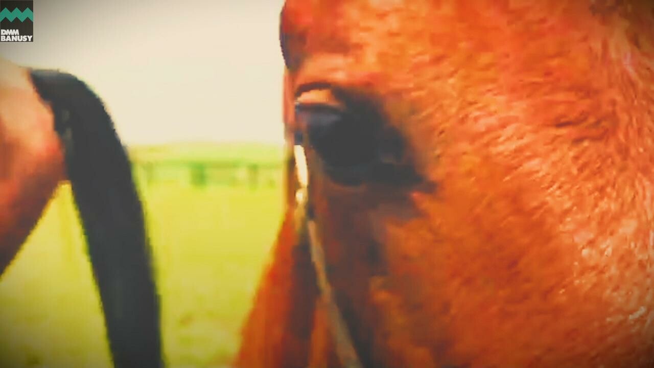 アイワナアイドル 新しい物語の始まり