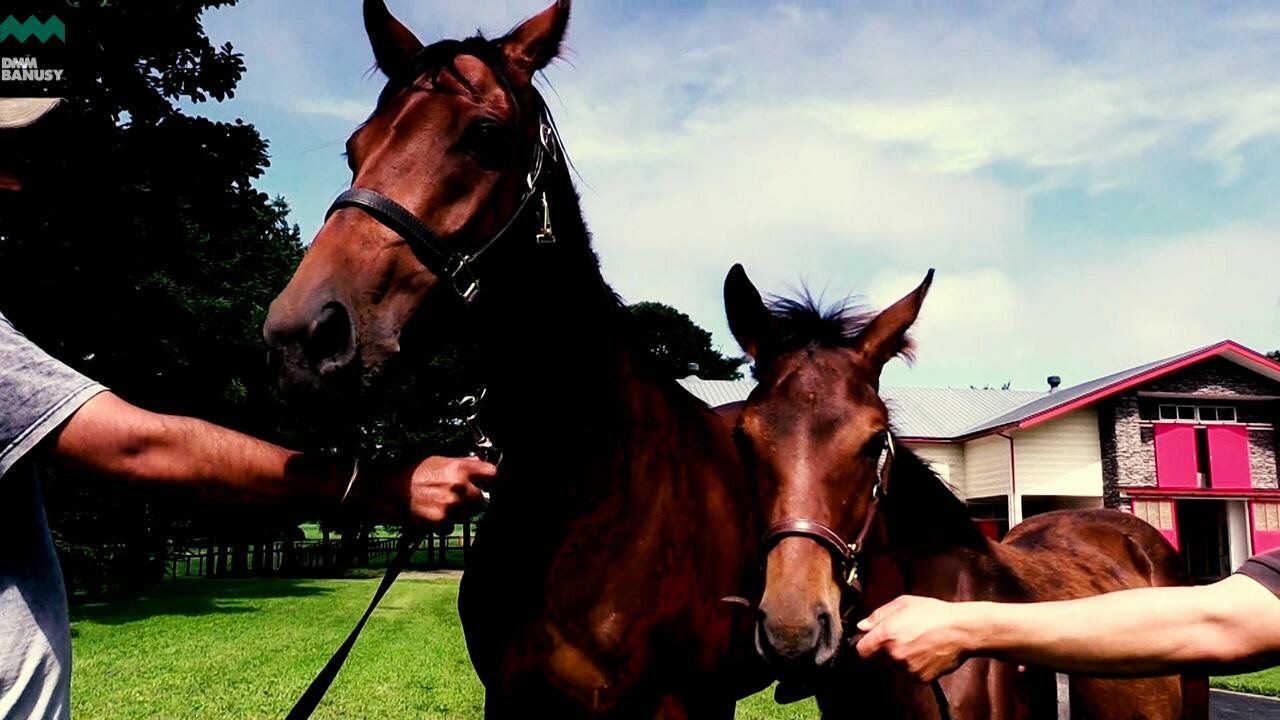 アイワナアイドル デビューまでの道のり