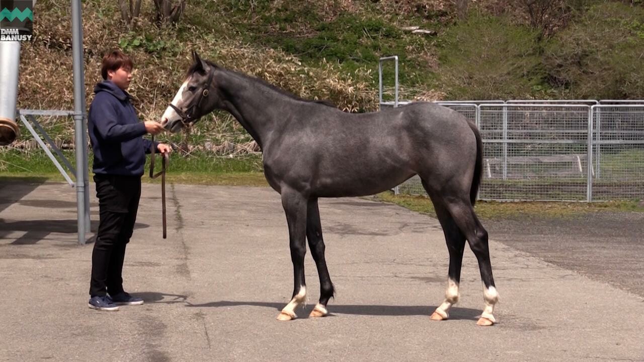 ニコニコルンルン 2021/5/10撮影：厩舎長 東(あずま)さんインタビュー付