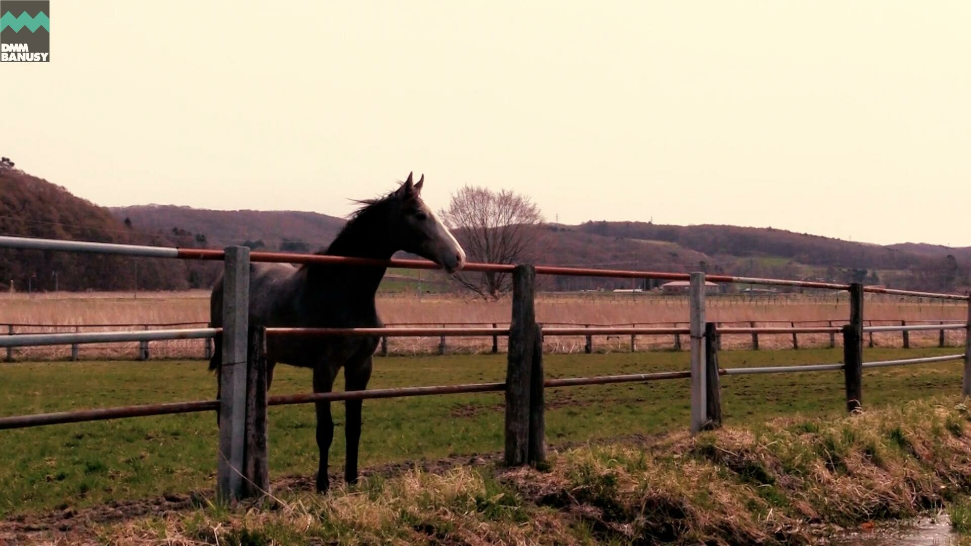 ニコニコルンルン PV2021