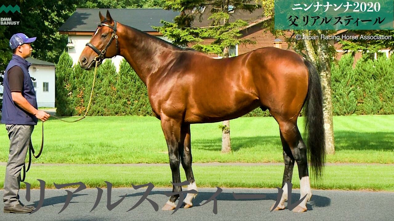 ニコニコルンルン 社台スタリオンステーション・事務局 徳武英介氏インタビュー