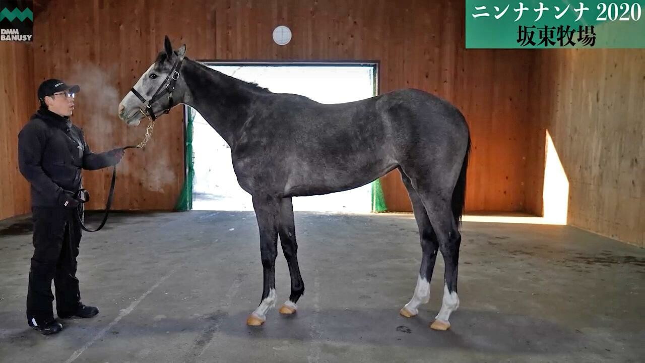 ニコニコルンルン 2022/1/18撮影：坂東牧場現地視察