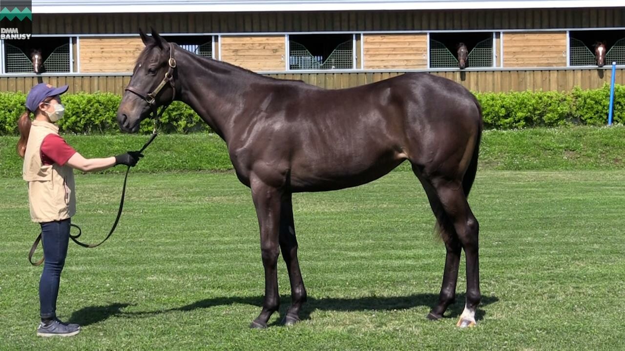 オーヴァルブルーム 2021/7/14撮影：事務局 吉田(よしだ)さんインタビュー付