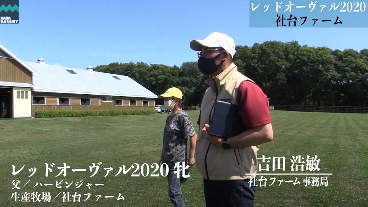 オーヴァルブルーム 2021/8/6撮影：社台ファーム現地視察