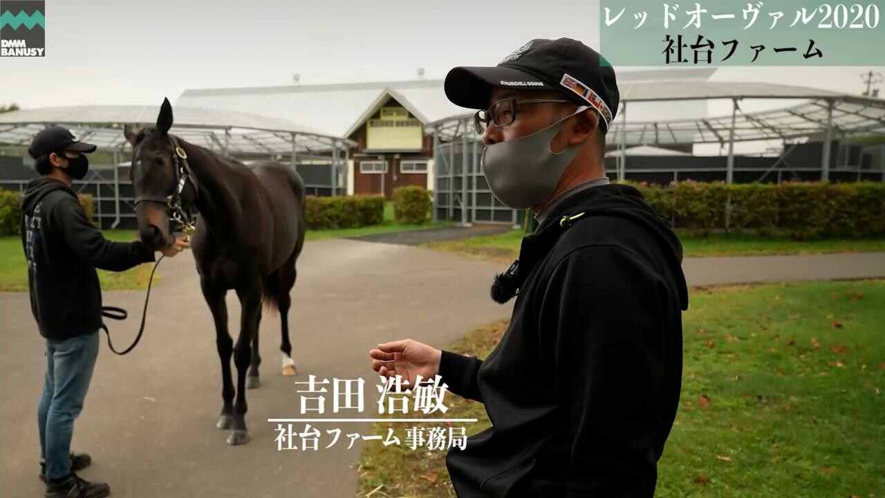 オーヴァルブルーム 2021/10/4撮影：社台ファーム現地視察