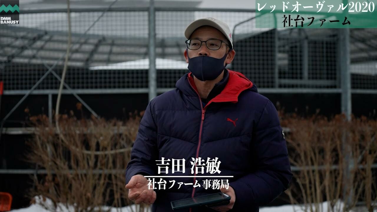 オーヴァルブルーム 2021/12/21撮影：社台ファーム現地視察