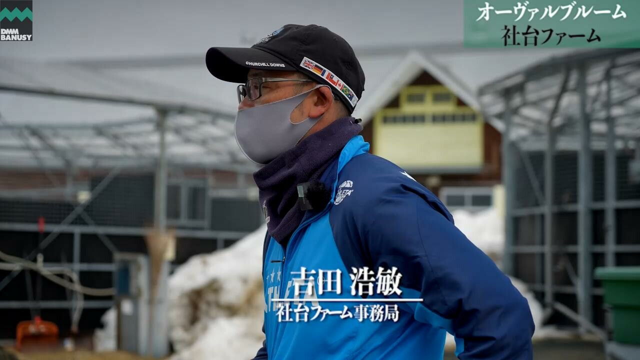 オーヴァルブルーム 2022/3/12撮影：社台ファーム現地視察