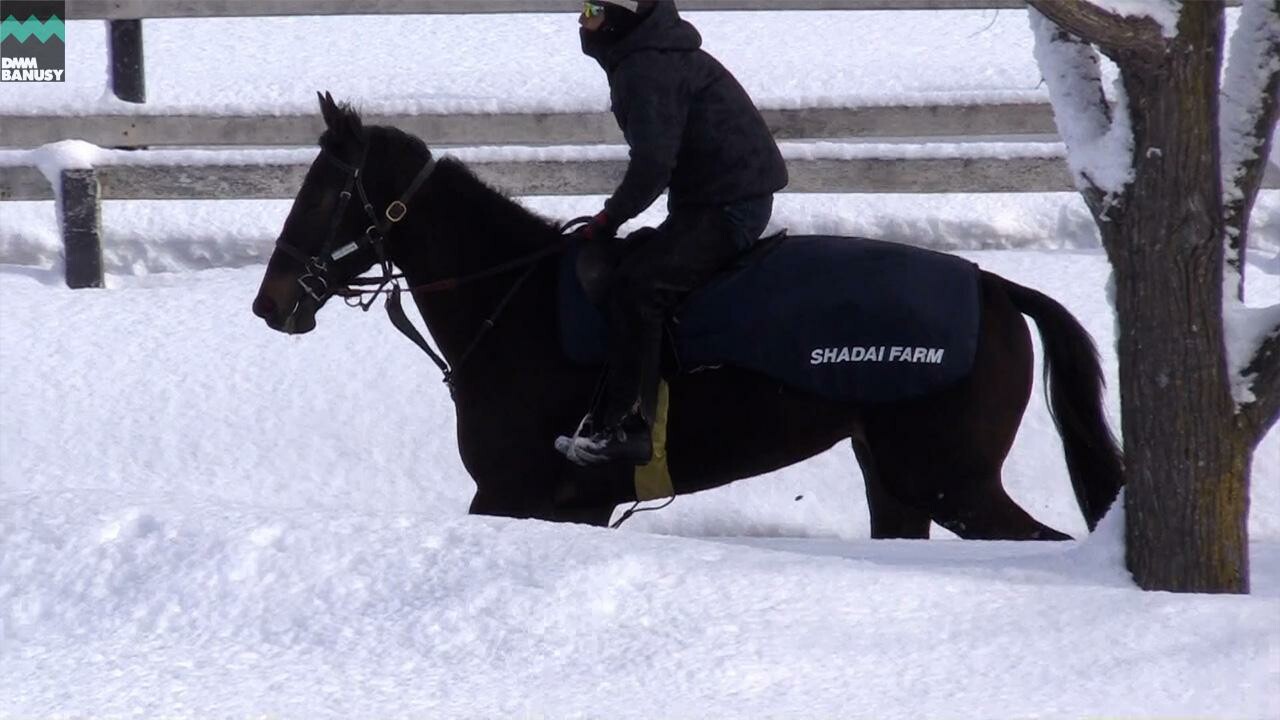オーヴァルブルーム デビューまでの道のり