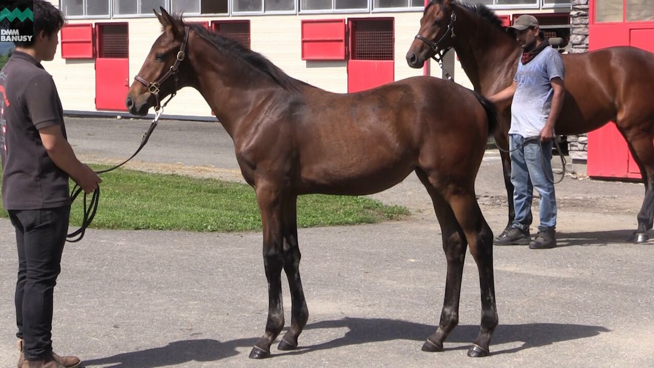 アイワナアイドル 2020/7/31撮影