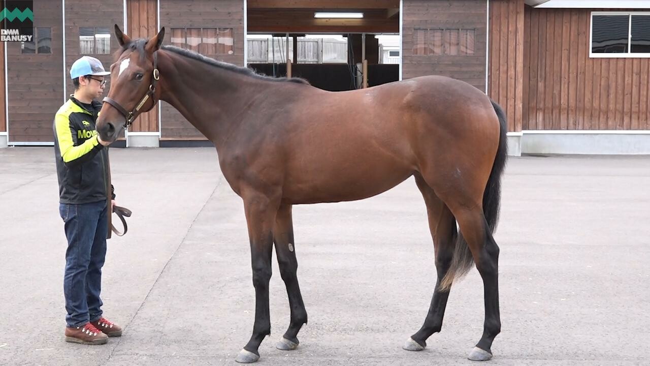 レプリューム 2020/9/14撮影