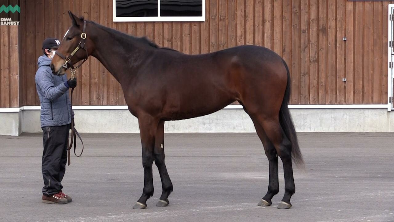 レプリューム 2020/12/4撮影