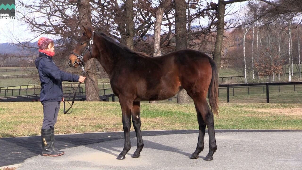 アイワナアイドル 2020/12/4撮影