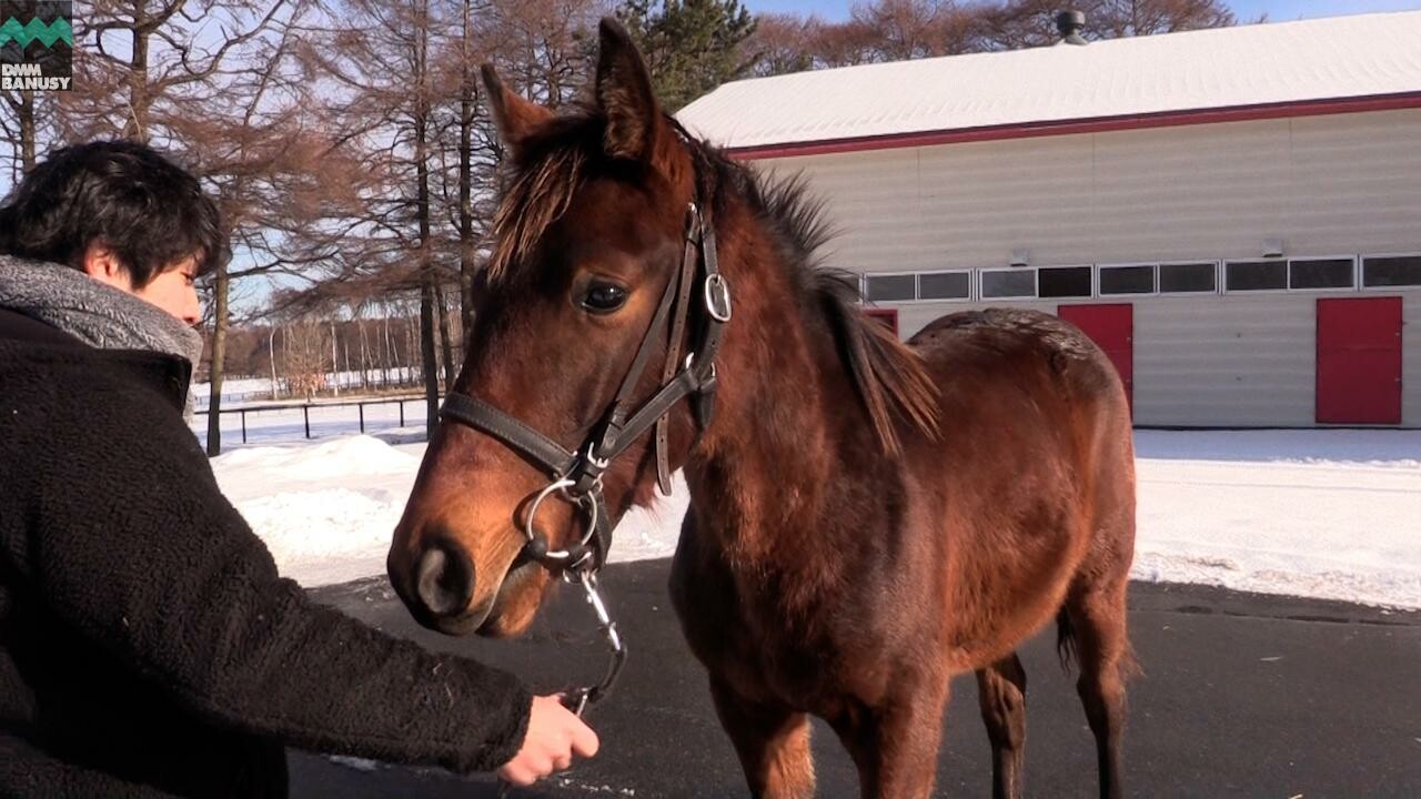 アイワナアイドル 2021/1/18撮影
