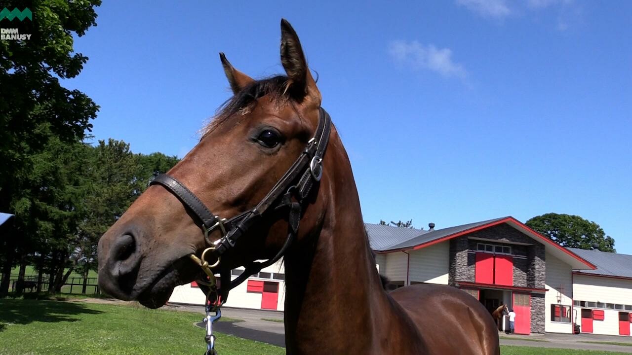 アイワナアイドル 2021/6/25撮影