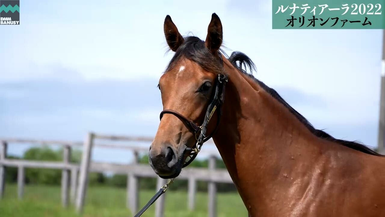 ルナティアーラ2022 6月27日撮影　解説付きツアー風動画