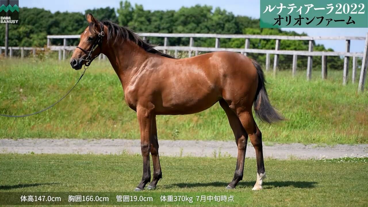 ルナティアーラ2022 6月27日撮影