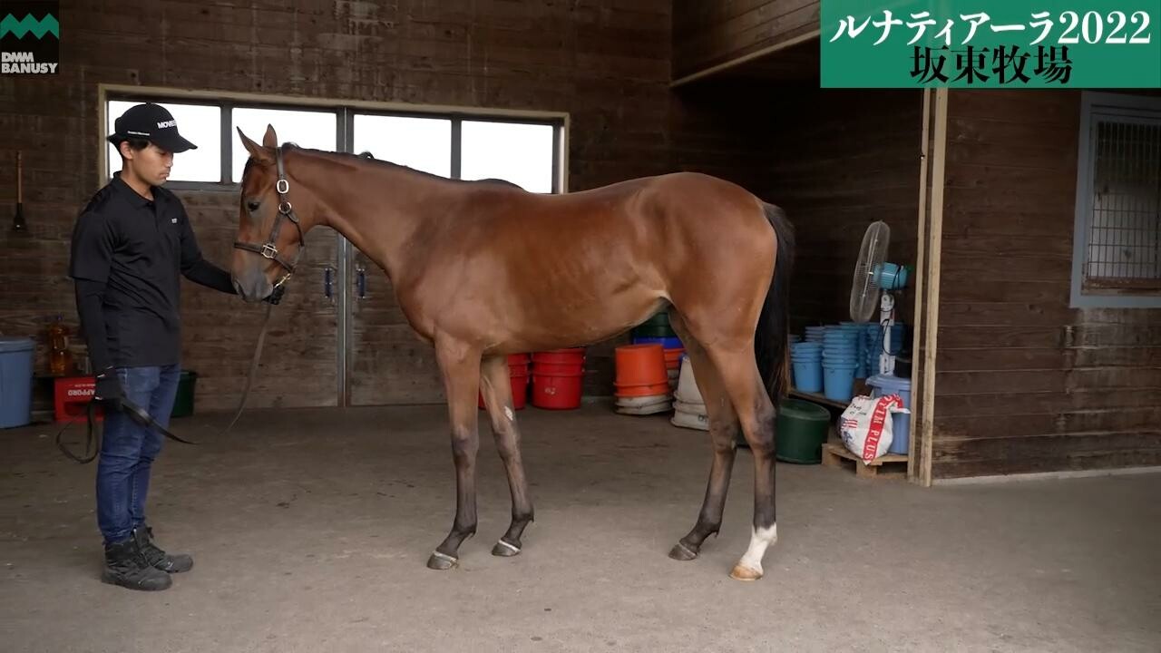 ルナティアーラ2022 2023/9/26撮影：坂東牧場現地視察