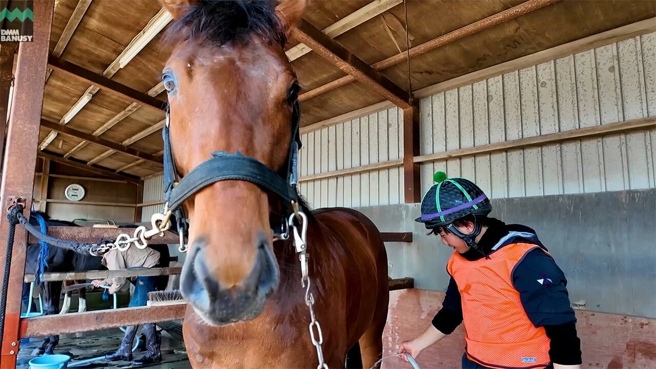 サヴマ デビューまでの道のり