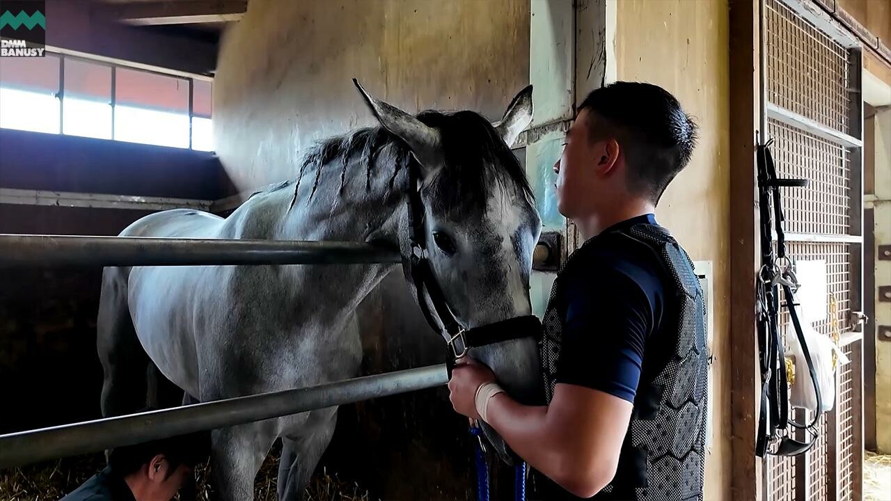 シェリーシュシュ デビューまでの道のり