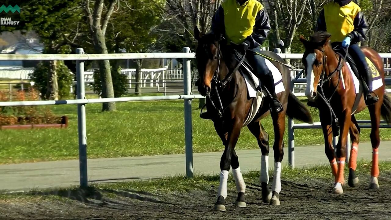 アルタティール デビューまでの道のり