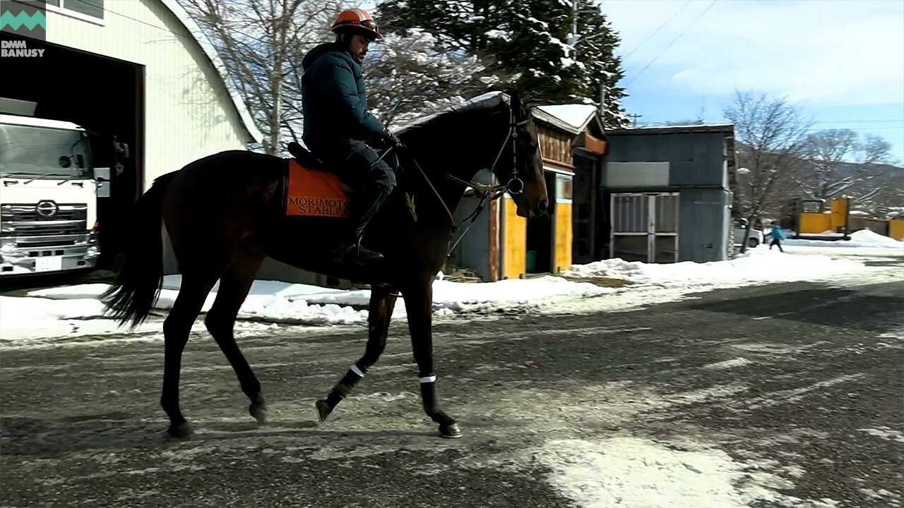 フライングスカイ デビューまでの道のり