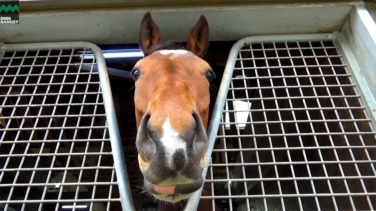 フローマジック デビューまでの道のり