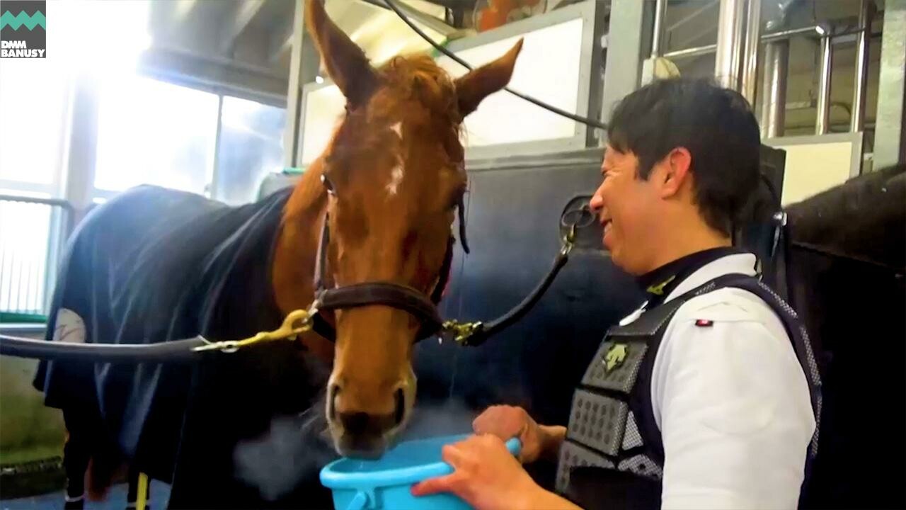 エピッククイーン 春菜賞までの道のり