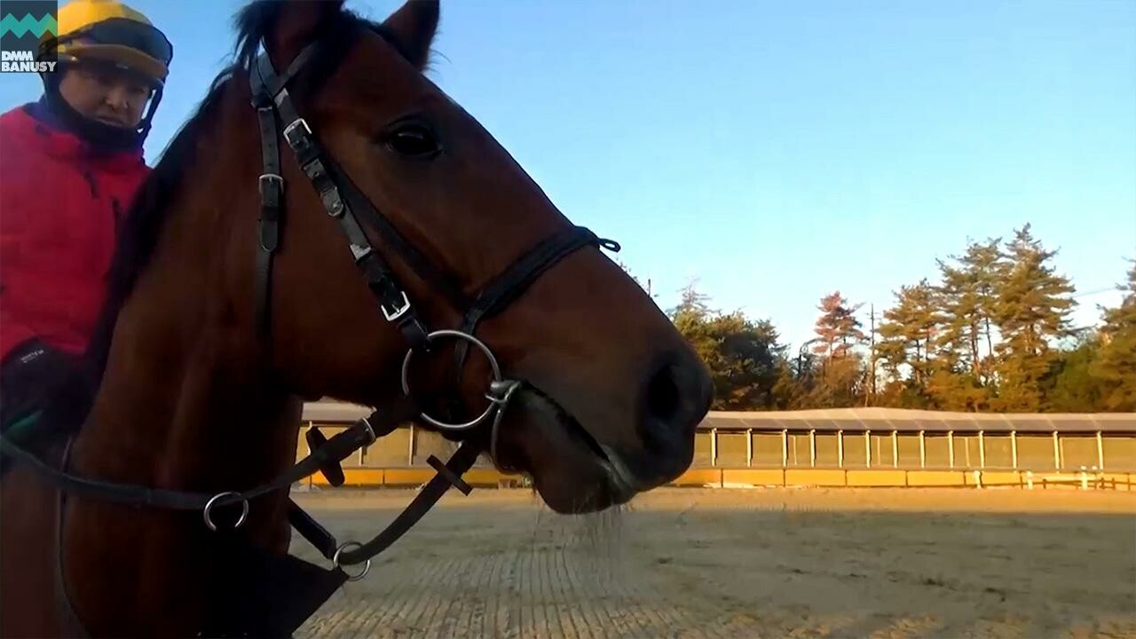 トレジャーストーン デビューまでの道のり