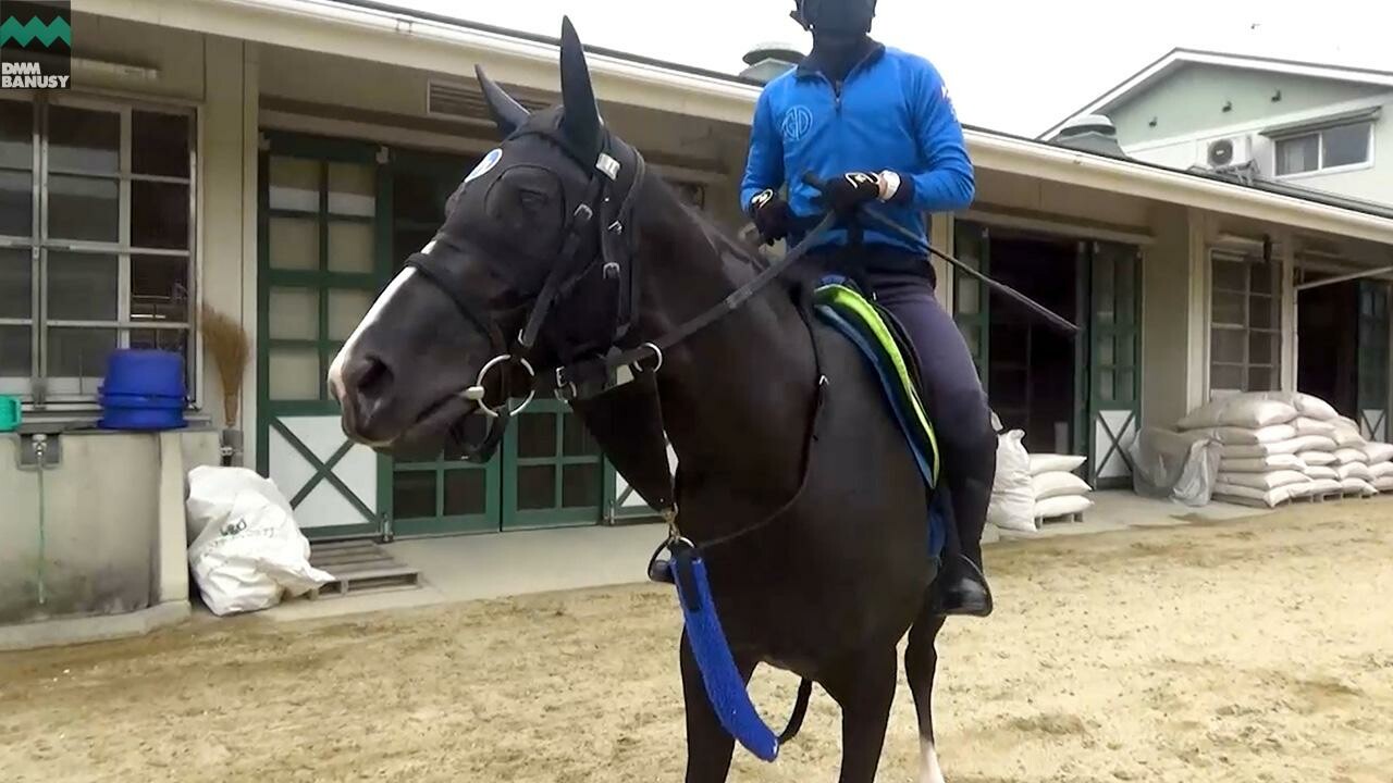 トレビスドンナ デビューまでの道のり
