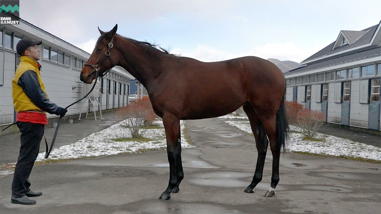 シスタリーラヴ2024 2025/12/5撮影：吉澤ステーブル現地視察