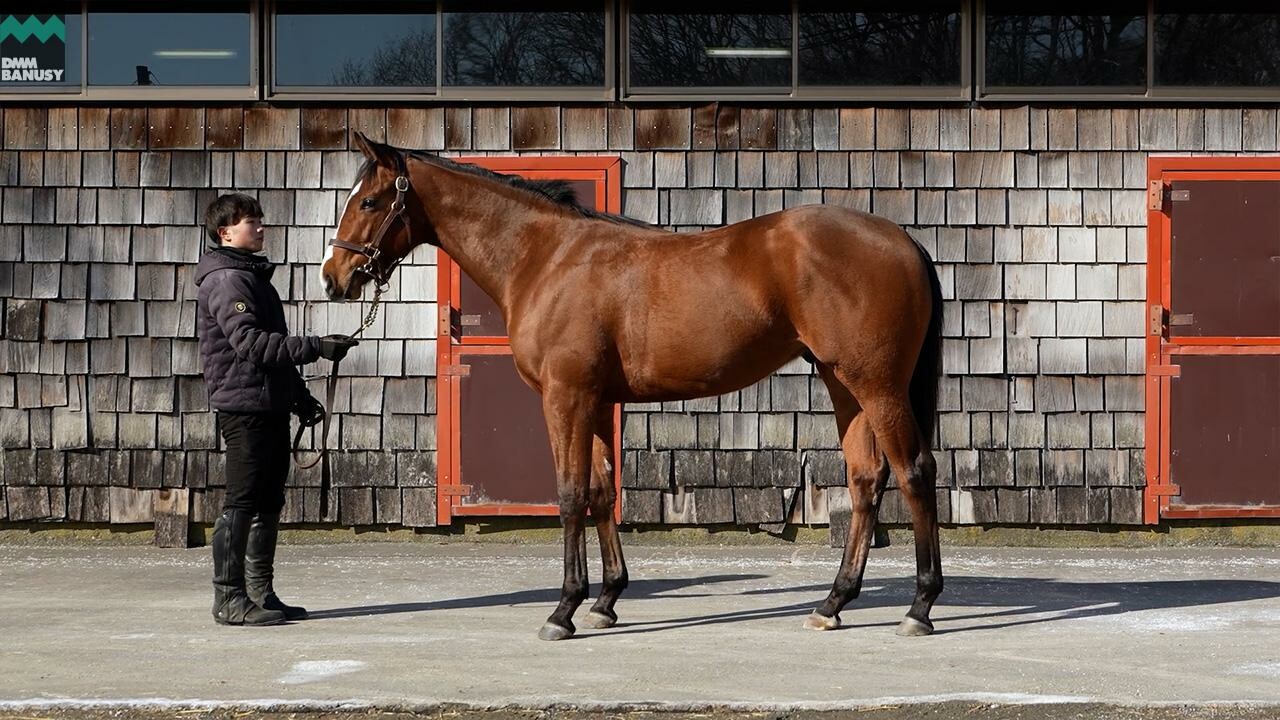 ポウリナズラヴ2024 2026/2/6撮影：ファンタストクラブ・木村牧場現地視察