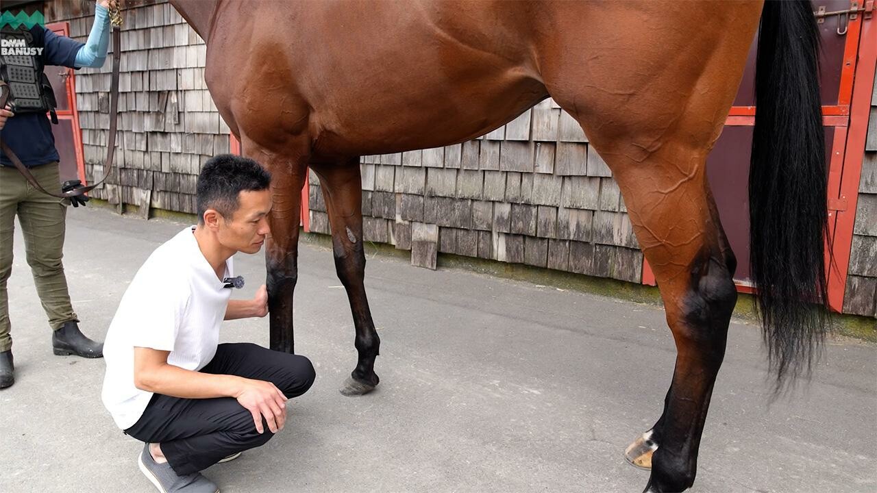 リサーガム 小栗実調教師インタビュー