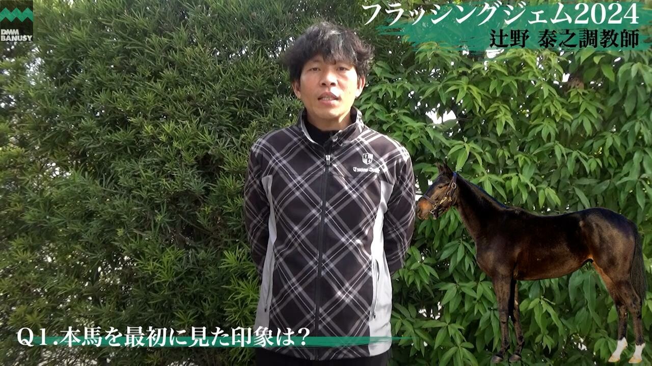 フラッシングジェム2024 辻野泰之調教師インタビュー
