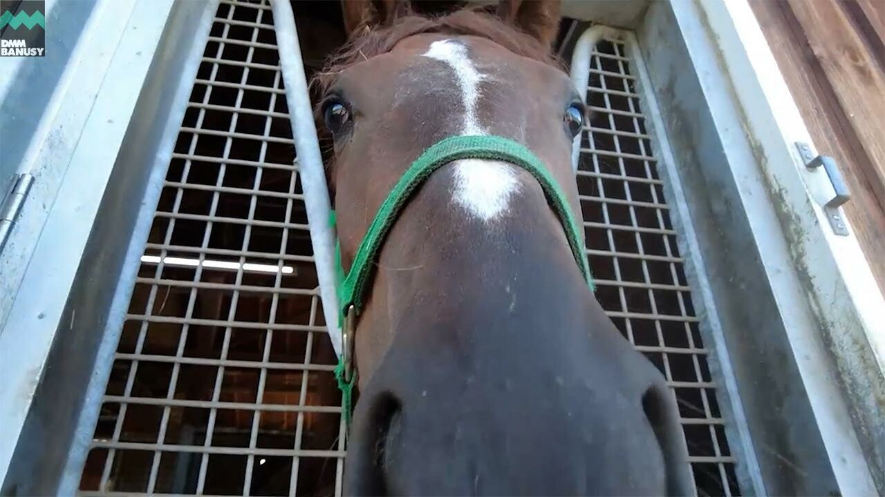 ミストヴェール デビューまでの道のり