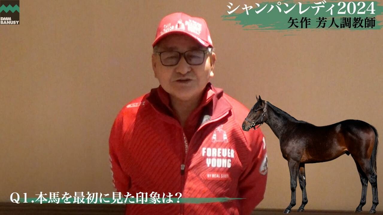 シャンパンレディ2024 矢作芳人調教師インタビュー