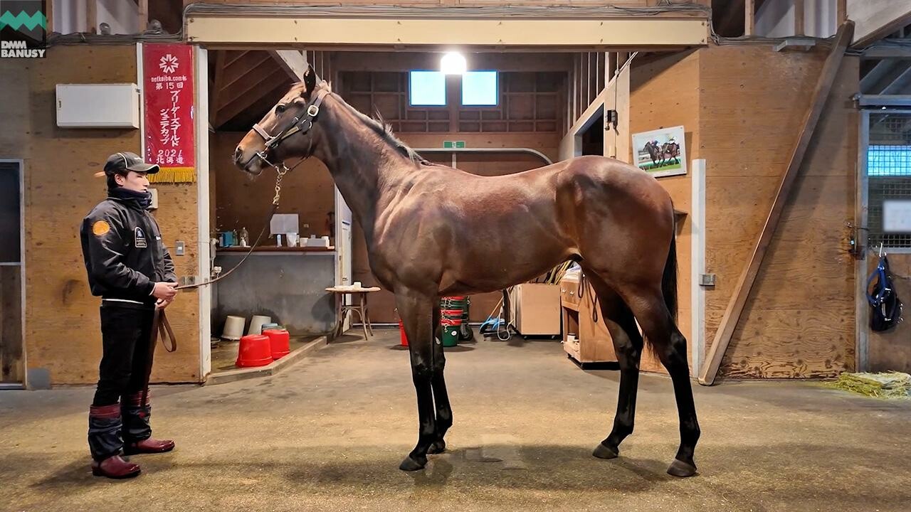 アンフィトリテII2024 2025/12/8撮影：ノーザンファーム現地視察