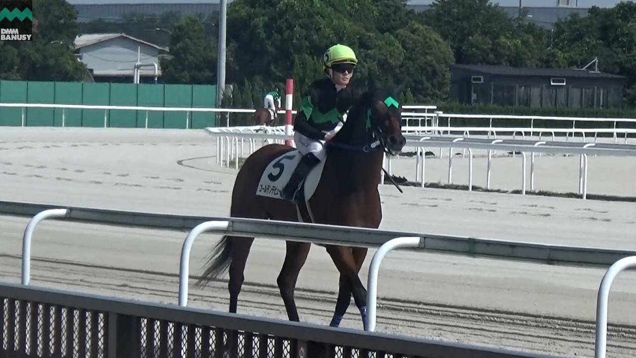 ダブルホールド ネクストスター名古屋までの道のり