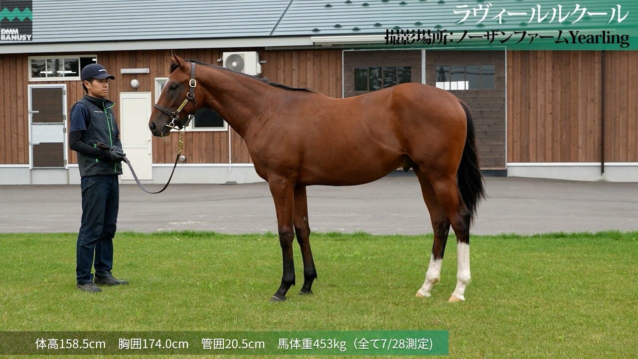 ラヴィールルクール 2026/7/24撮影