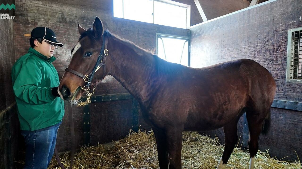 ラヴズオンリーユー2025 2025/12/9撮影：ノーザンファームYearling現地視察