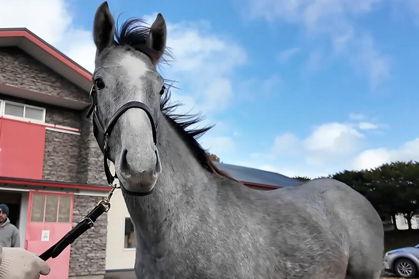 アイワナビリーヴ2025 写真