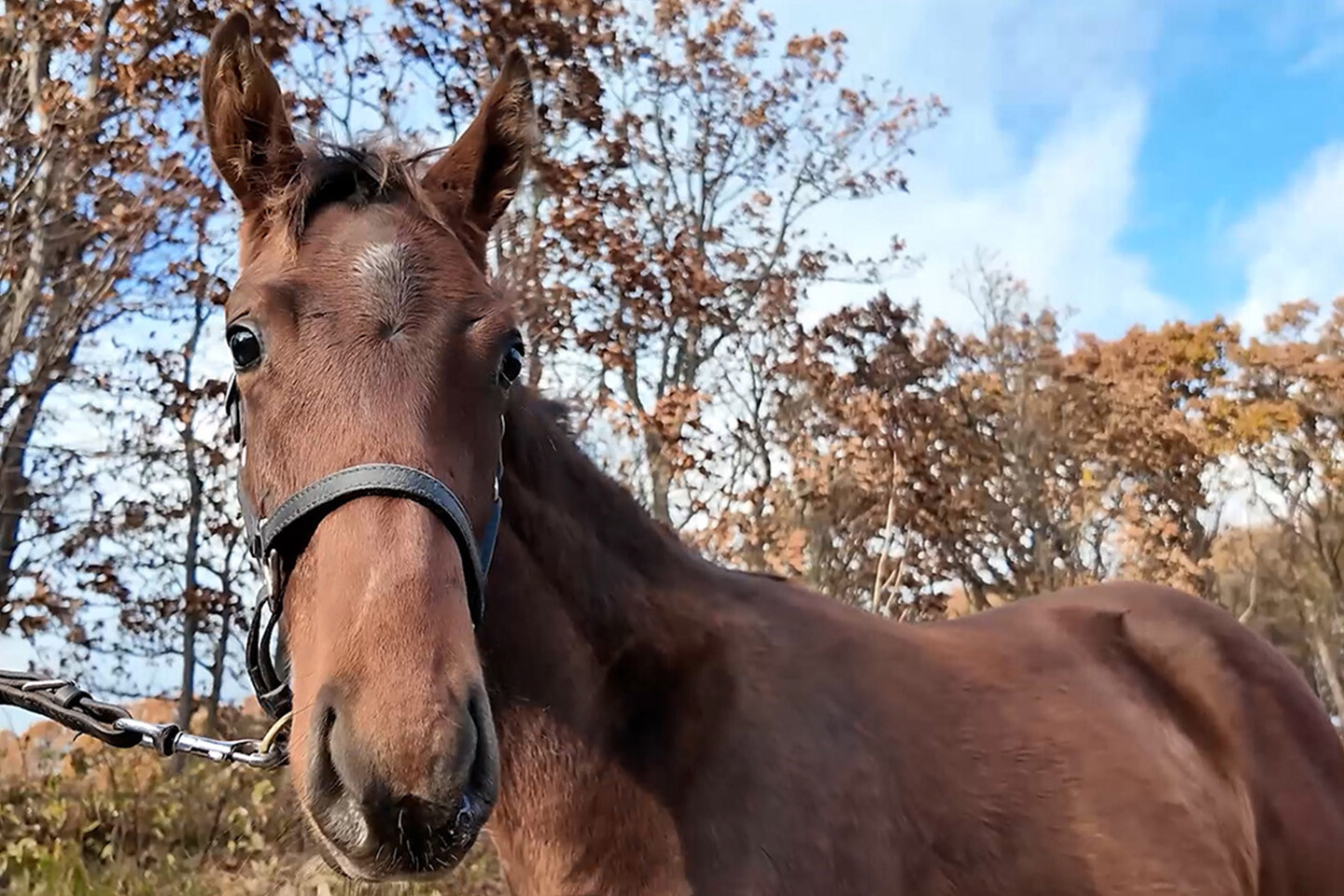 アイワナシーユー2025 写真