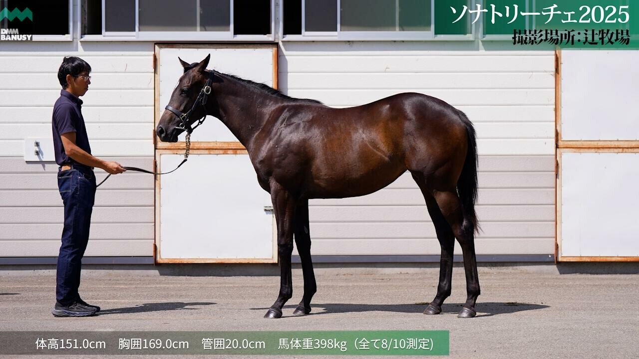 ソナトリーチェ2025 2026/7/27撮影