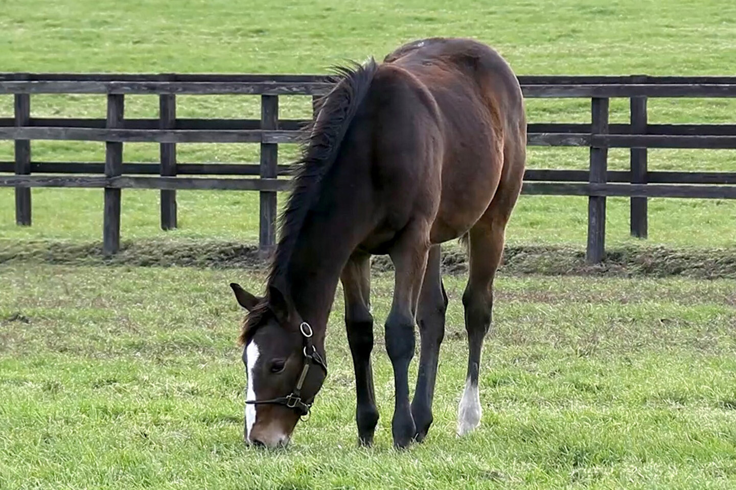 ミルフィアタッチ2025 写真