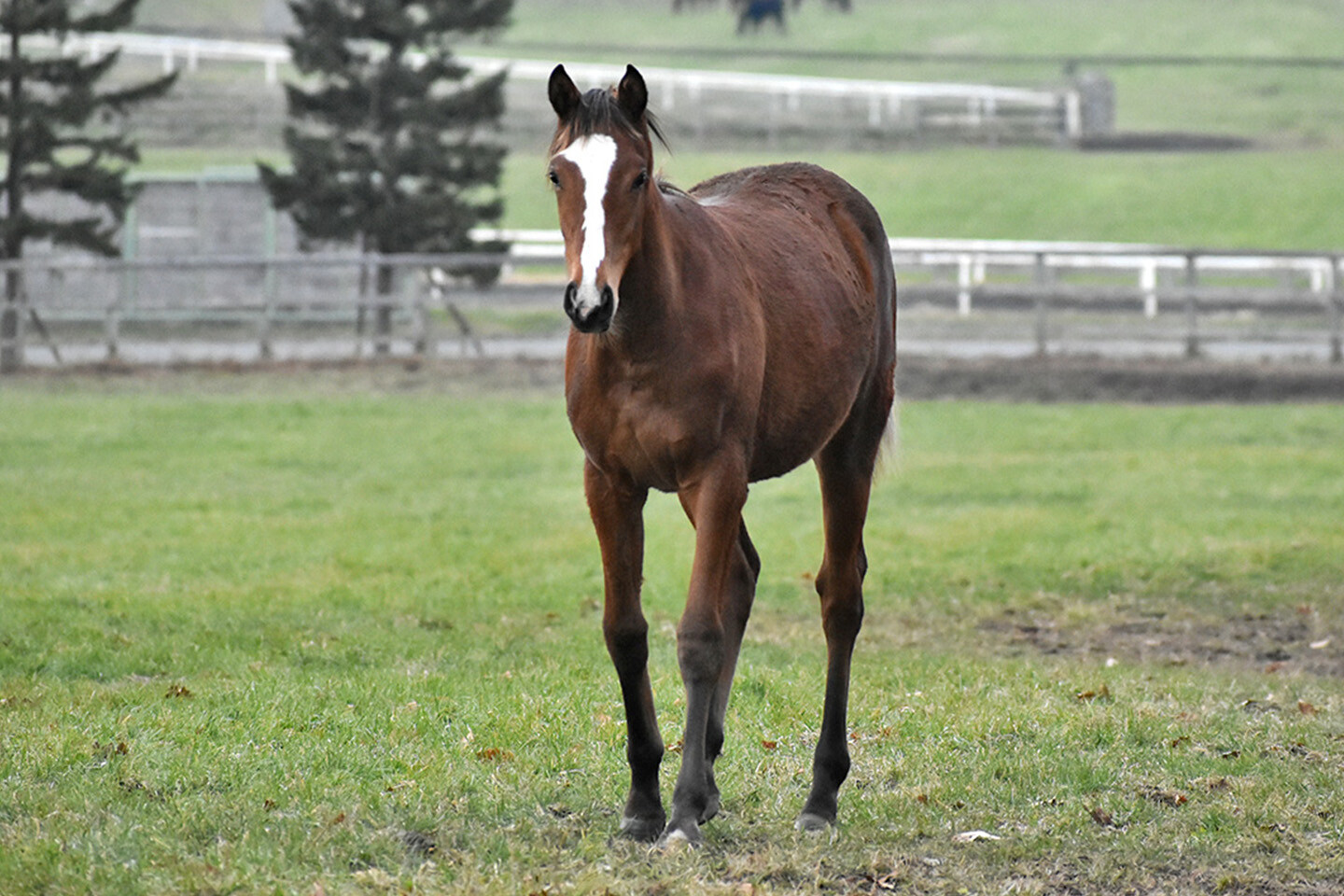 キストゥヘヴン2025 写真
