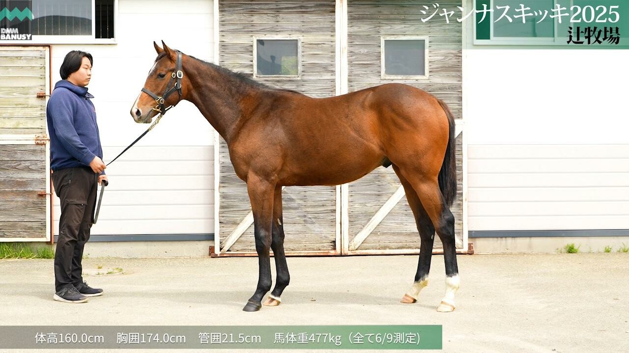 ジャンナスキッキ2025 2026/5/18撮影