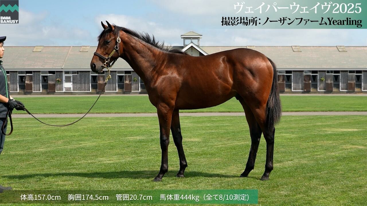 ヴェイパーウェイヴ2025 2026/7/23撮影